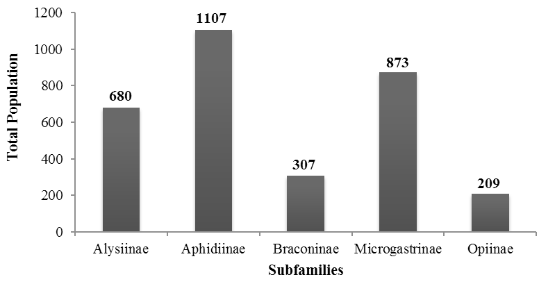 Figure 17