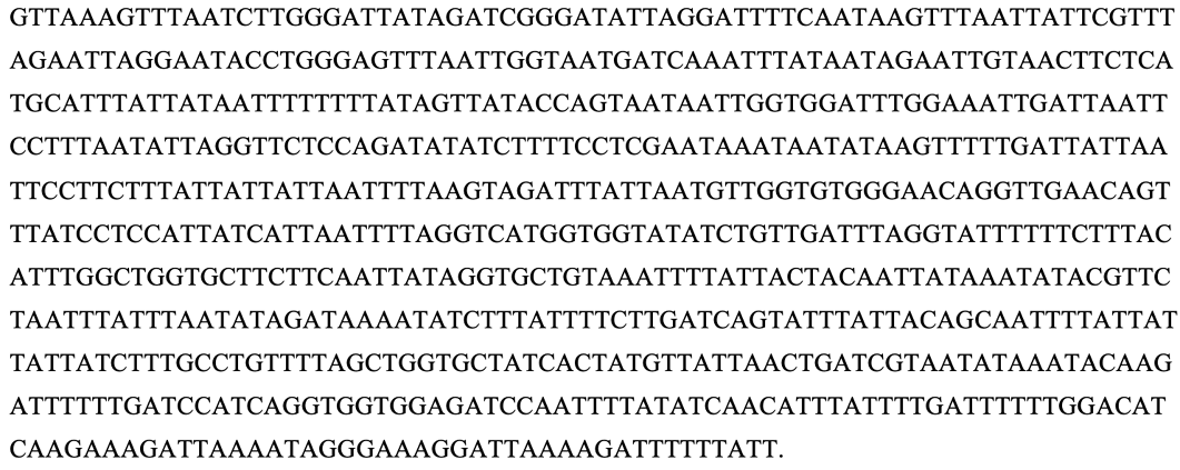 Sequence1