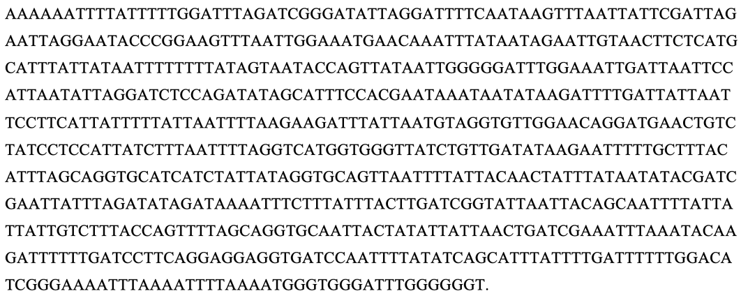Sequence 2