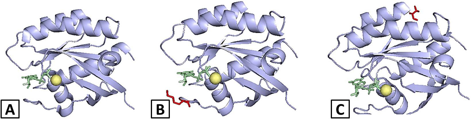 Fig. 2.