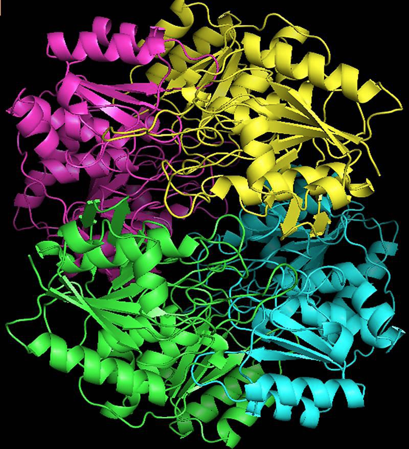 Fig. 3.