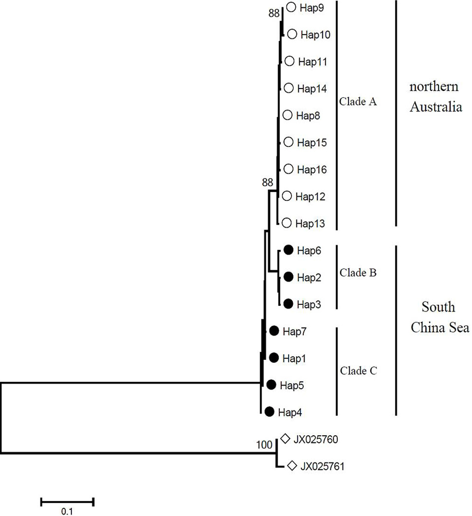 Fig. 2.