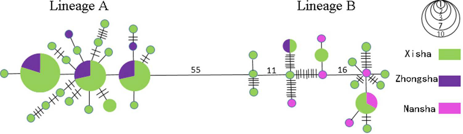 Fig. 2.
