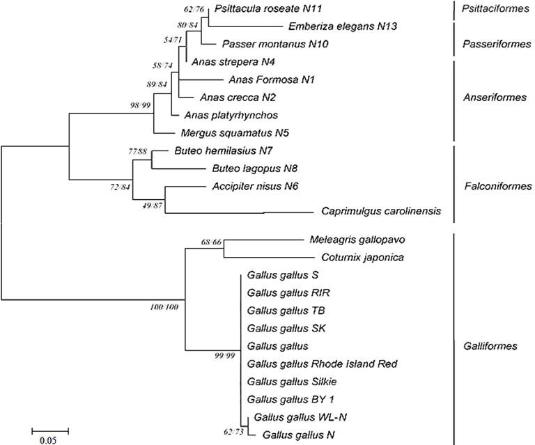 Fig. 3.