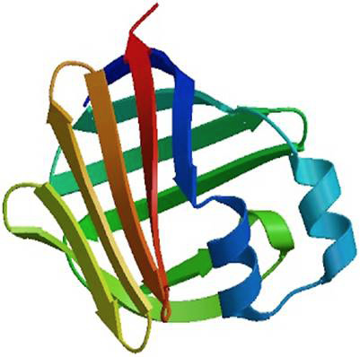 Fig. 4.