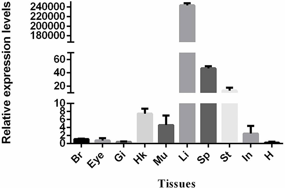 Fig. 6.