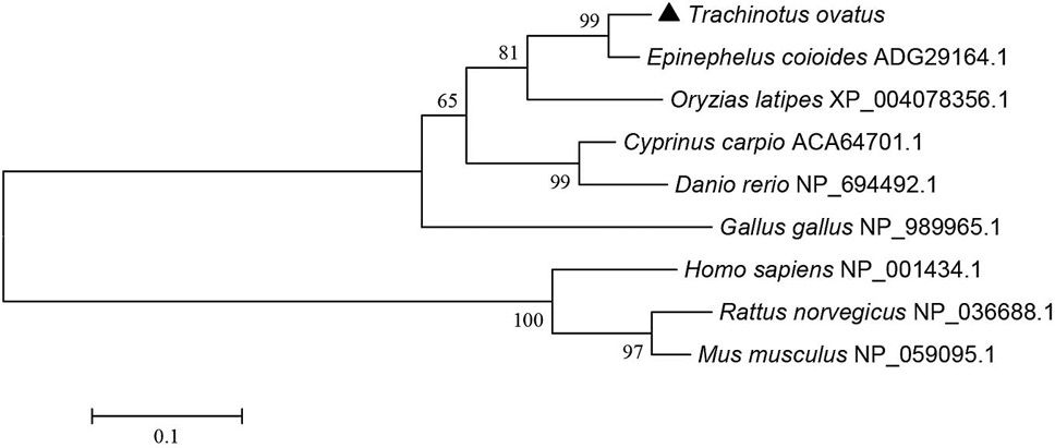 Fig. 3.