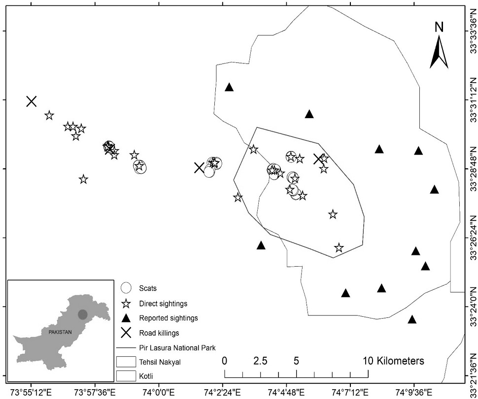 Fig. 3.