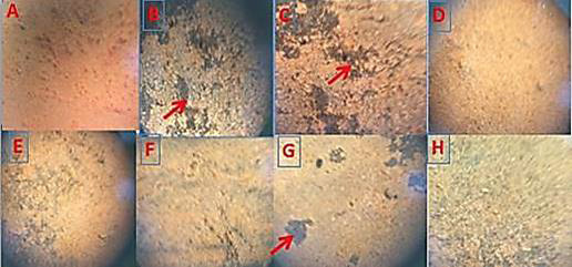 Fig. 9.