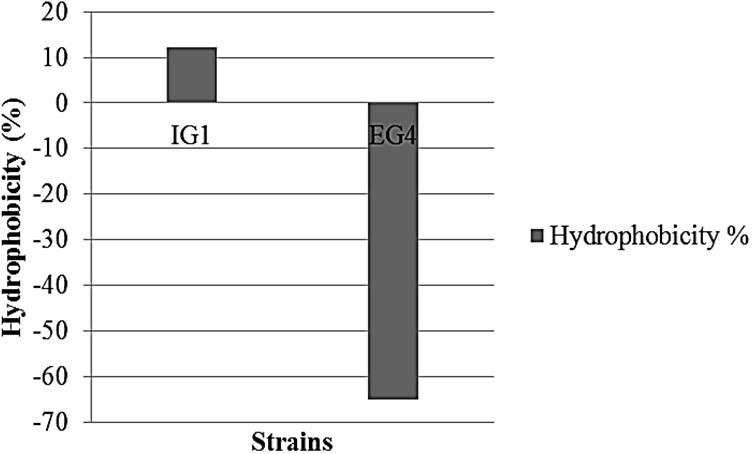 Fig. 5.