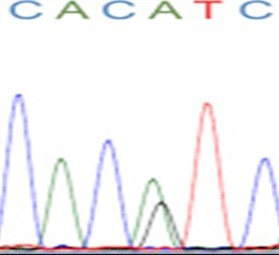 Figure 2: