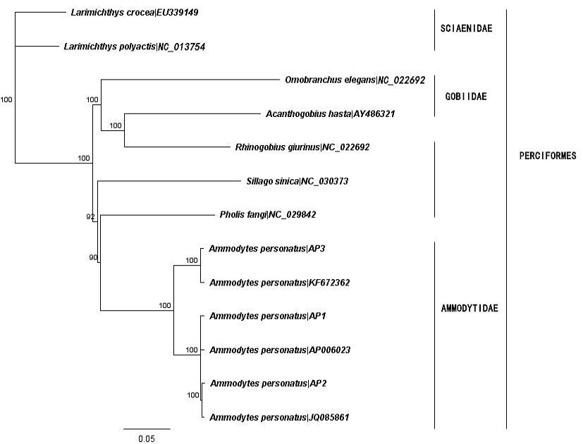 Fig. 3.