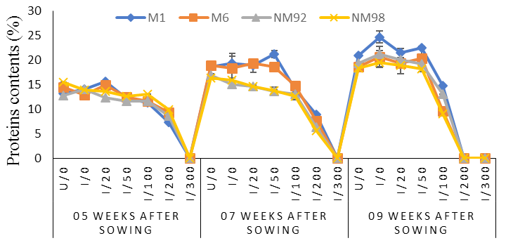 Figure 11