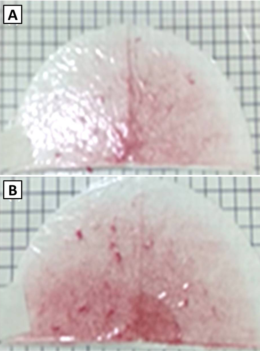 Fig. 7.