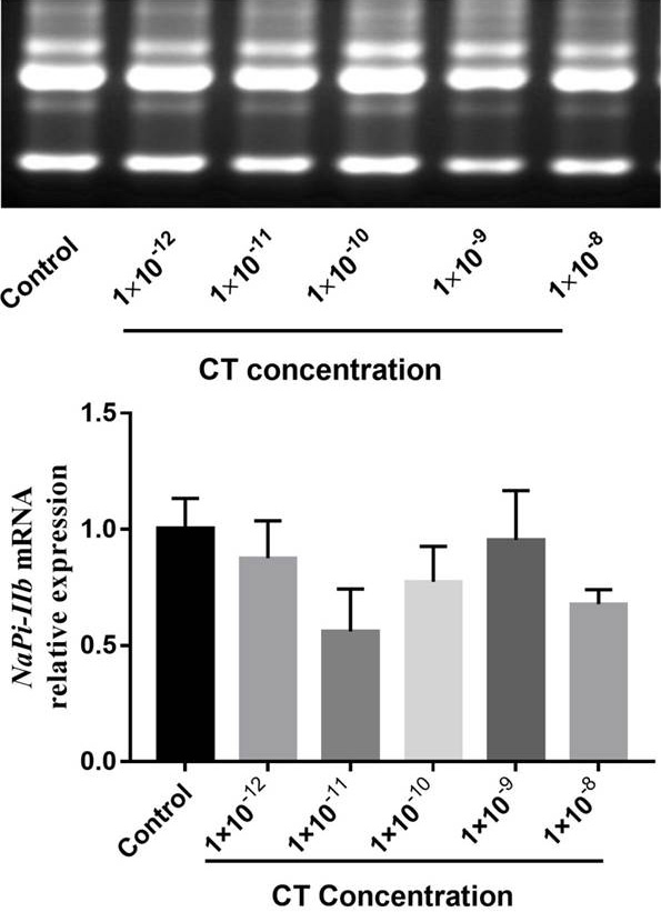 Fig. 4.