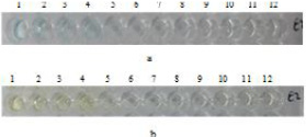 Fig. 10.