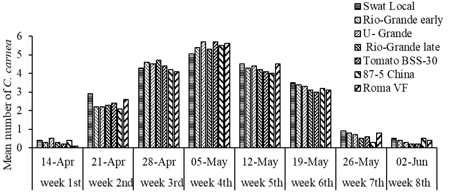 Figure 3: