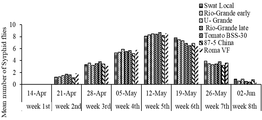 Figure 5: