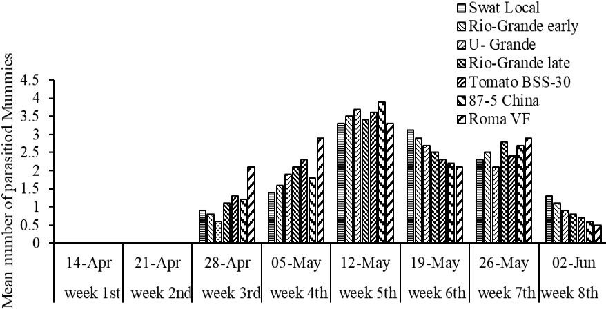 Figure 6: