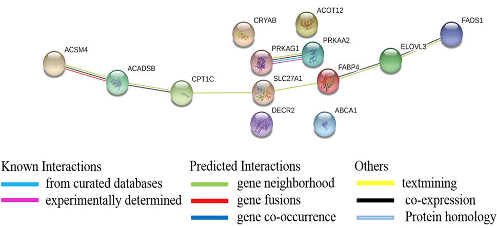 Fig. 3.