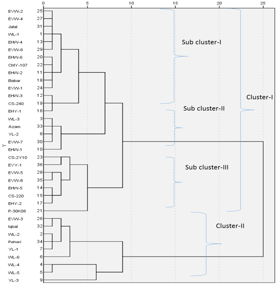 Figure 2: