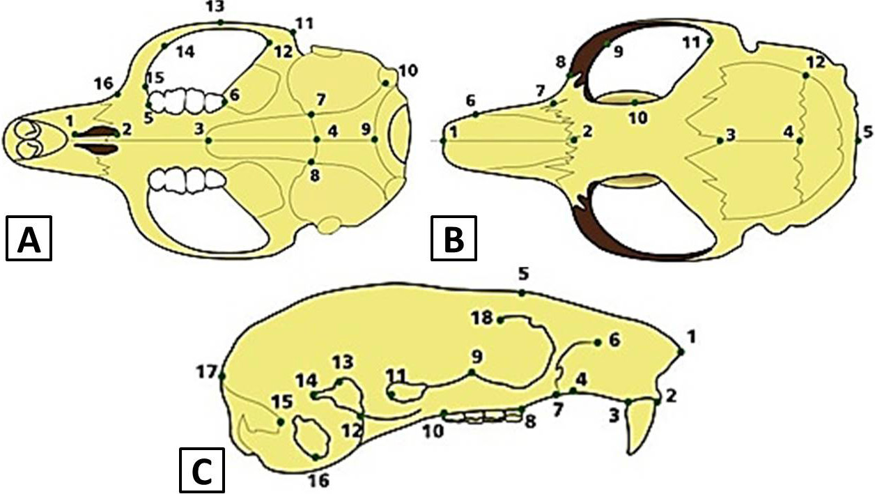 Fig. 3.
