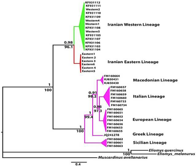 Fig. 2