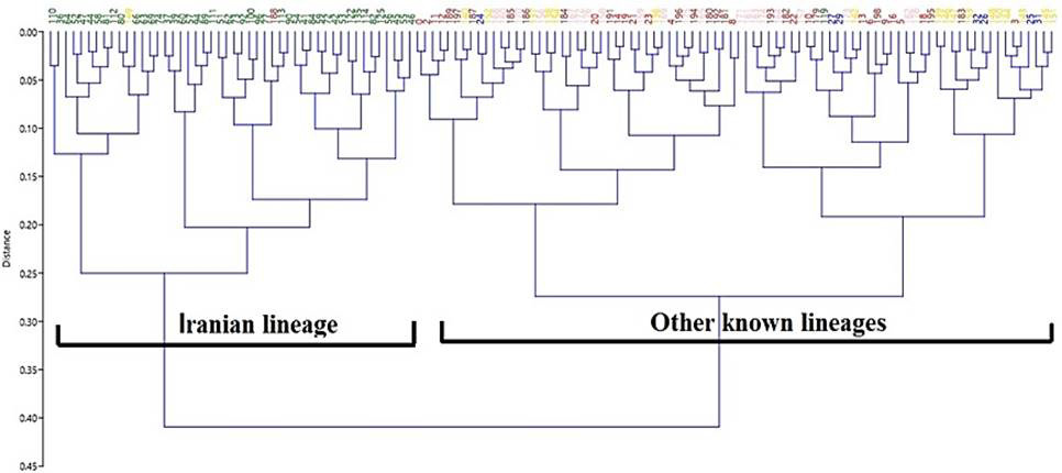 Fig. 4.