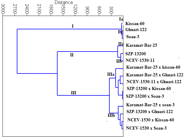 Figure 1: