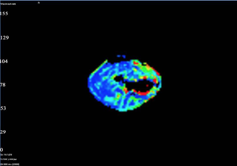 Fig. 4.