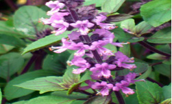 Related image