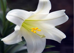 Related image