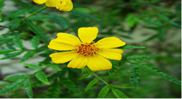 Related image