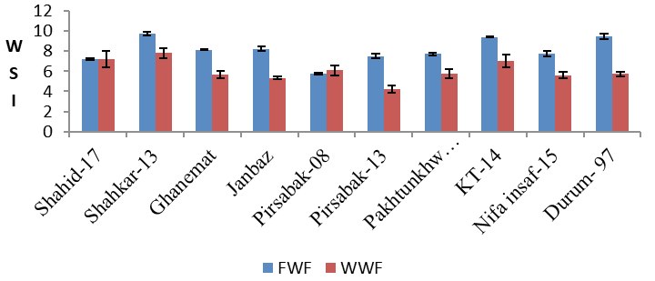Figure 12