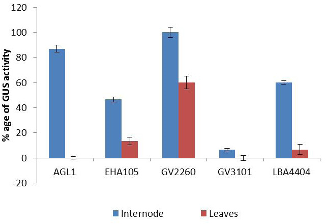 Figure 5