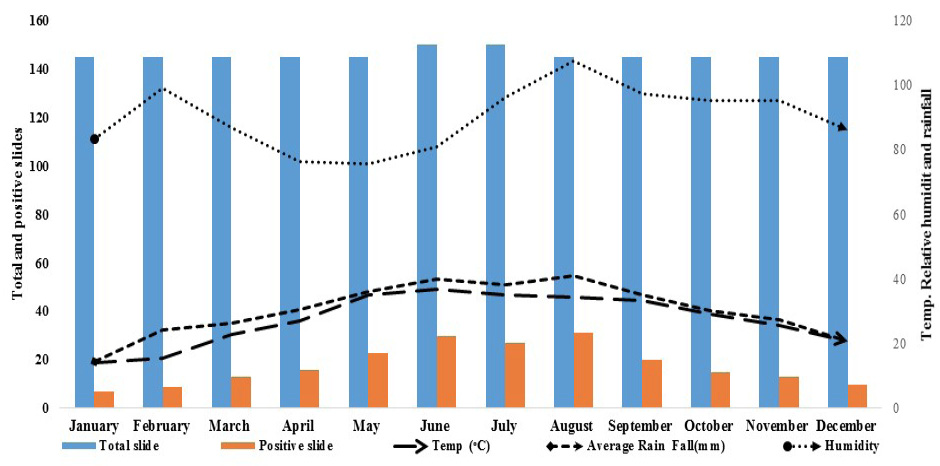 Figure 5: