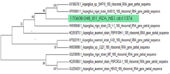 Figure 2: