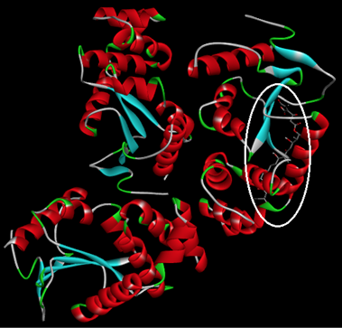 Figure 4: