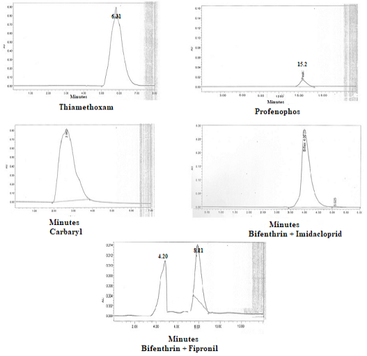 Figure 3B