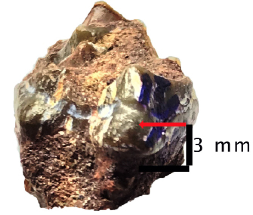 Fig. 3.
