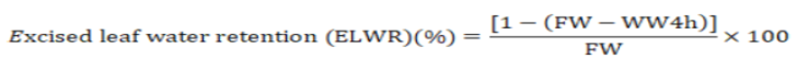 Eq2.PNG