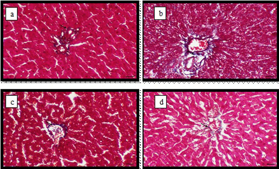 Fig. 5.