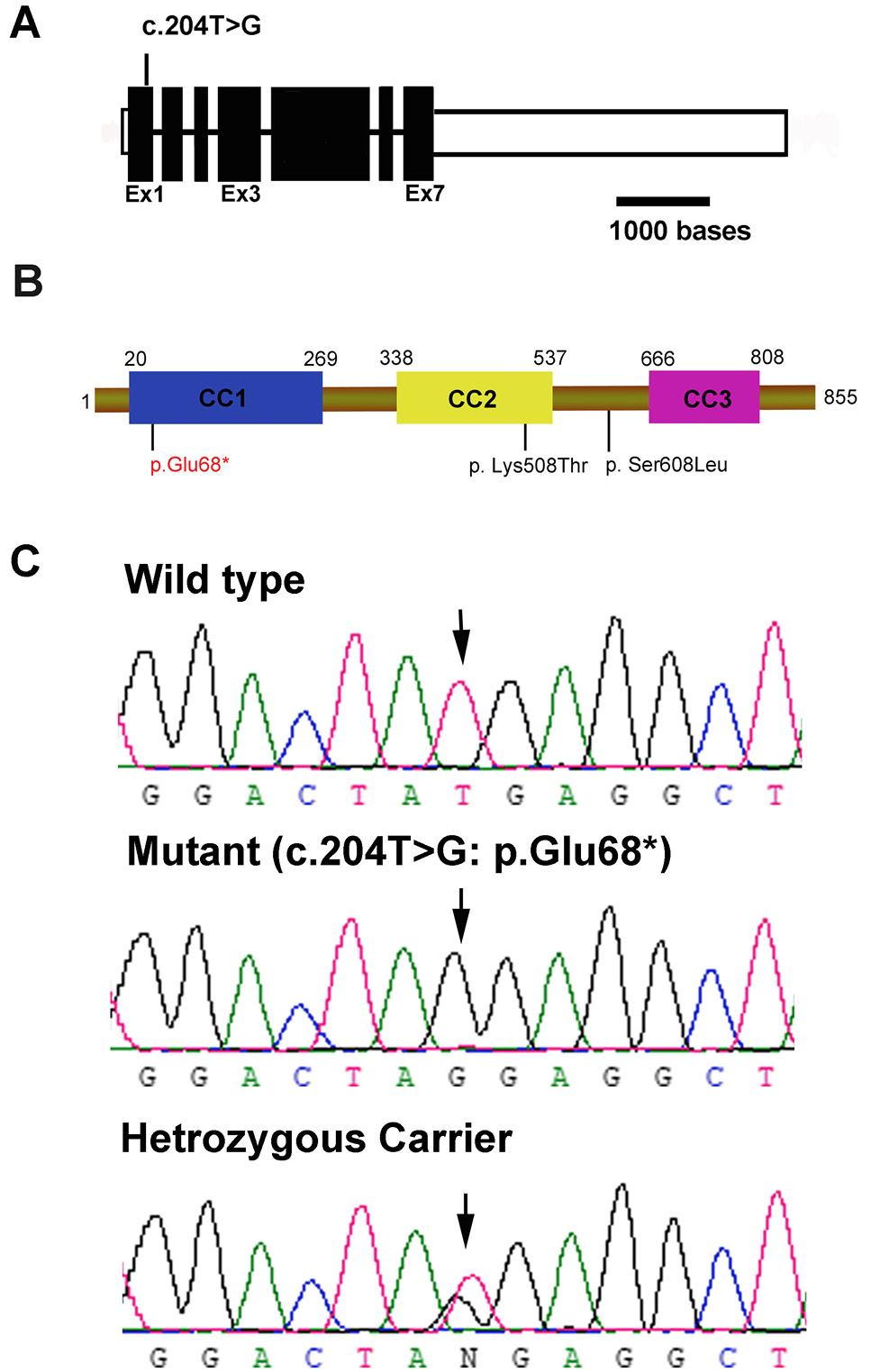 Fig. 3.