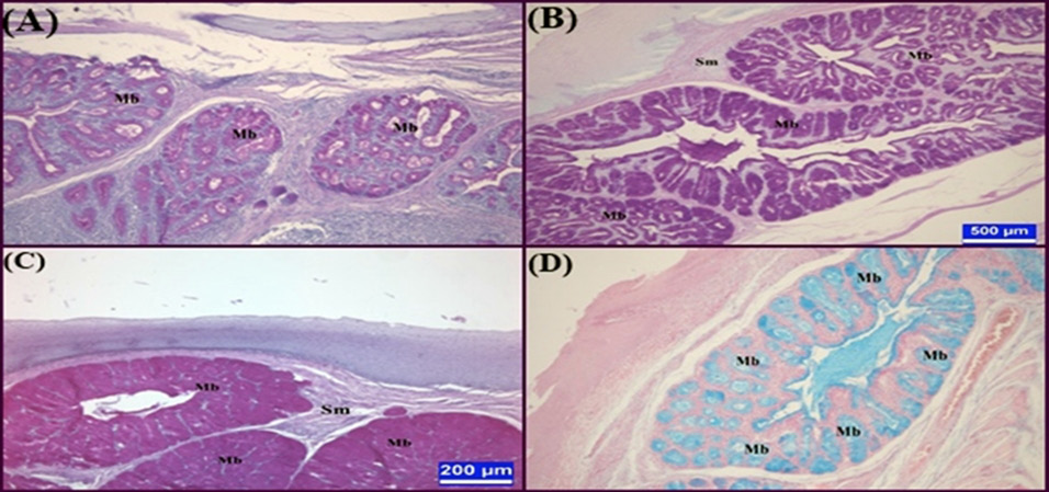 Fig. 4.