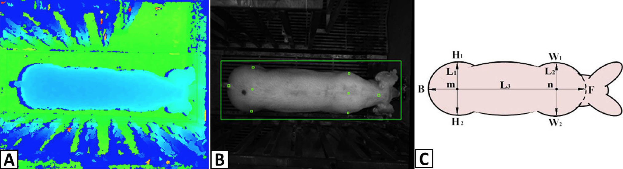 Fig. 3.