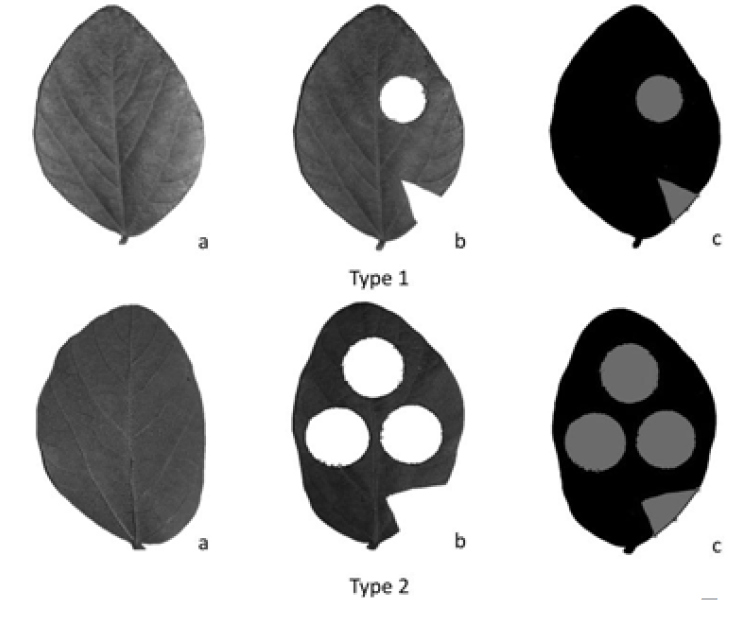 Fig. 3.
