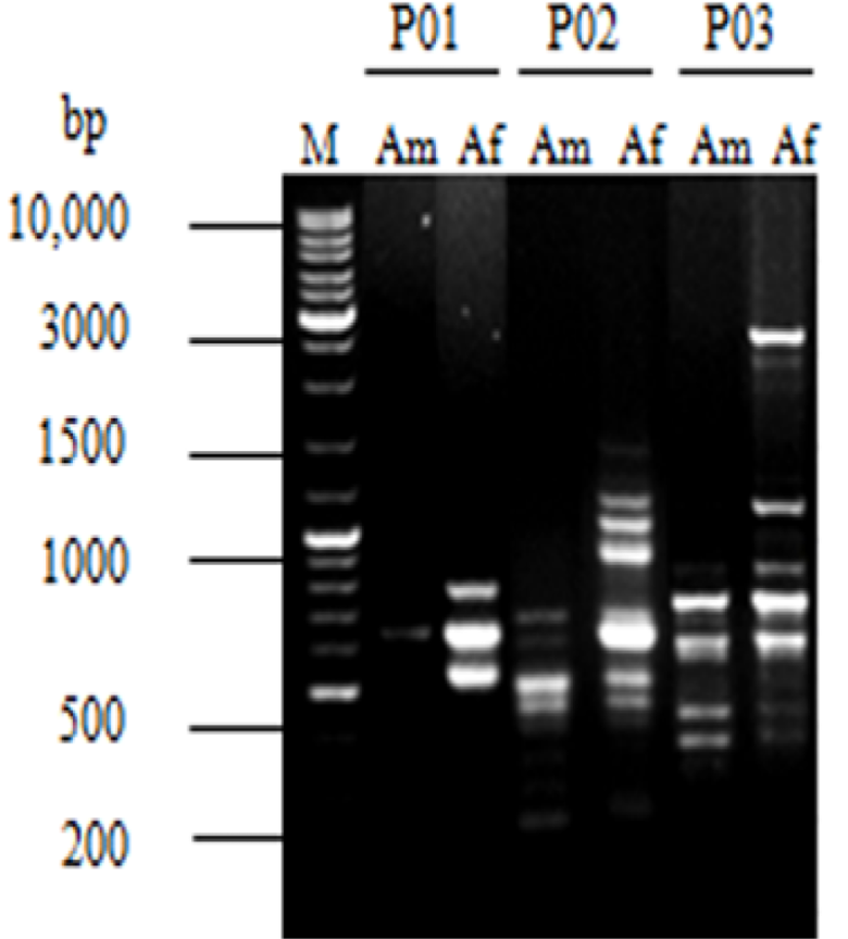 Figure 7: