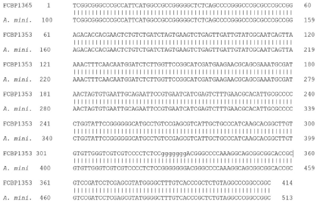 Figure 5: