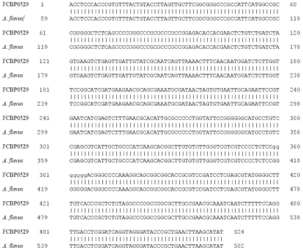 Figure 6:
