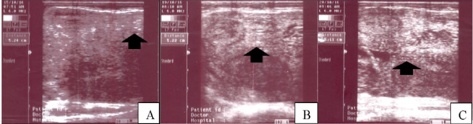 Fig. 9.